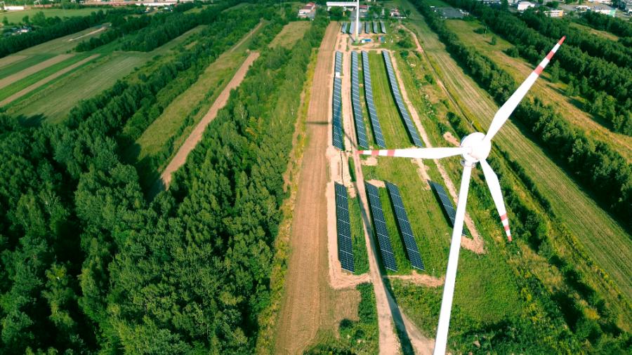 Energy policy and regulatory round up | October 2024 - February 2025