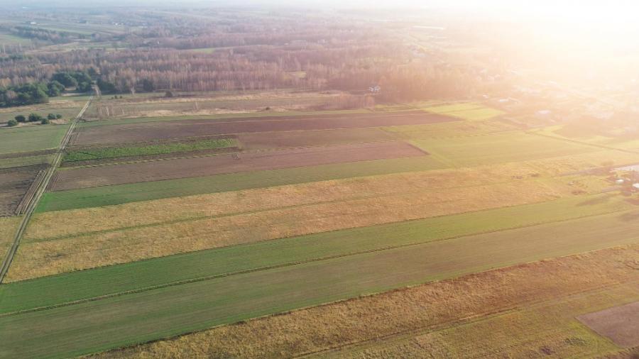 Residential Zoned Land Tax – important upcoming dates and next steps