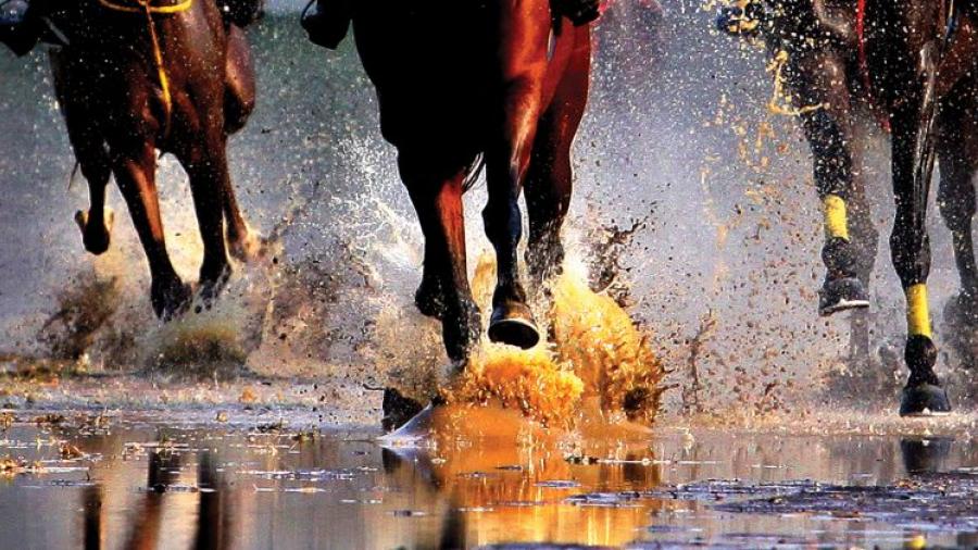 Finally…. a new era for gambling regulation in Ireland