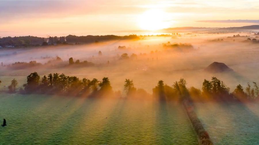 Employment Law in 2025: What's on the horizon?