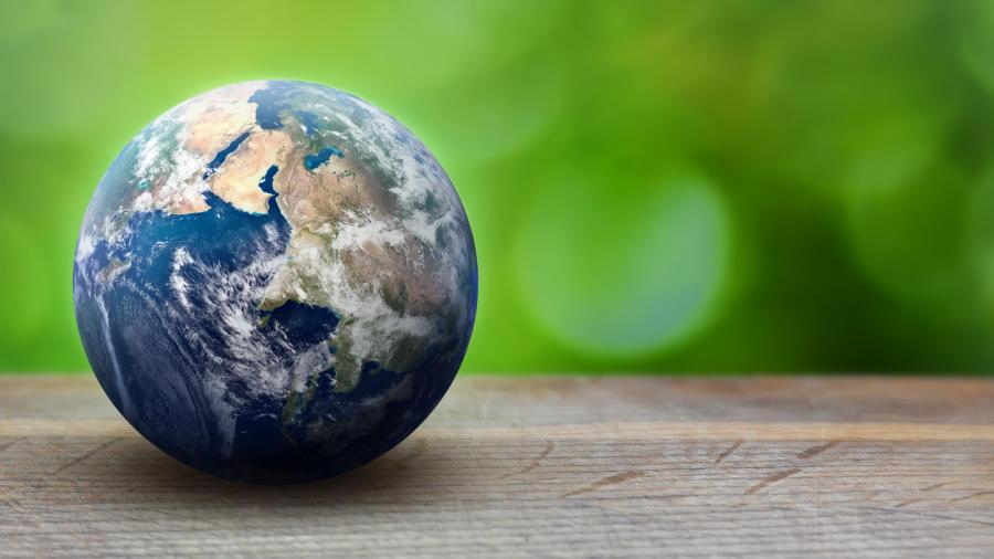 Court recognises climate emergency