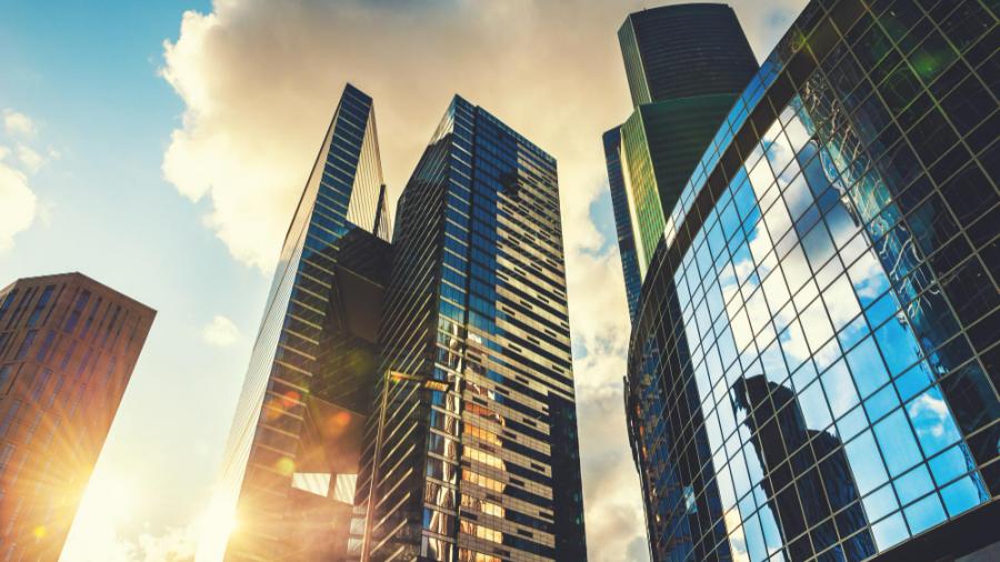 MEPs' proposal on Corporate Sustainability Due Diligence Directive