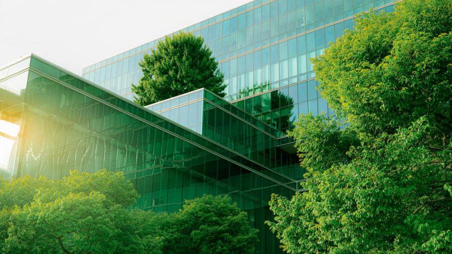 ESG in the C-Suite: Putting the G into ESG
